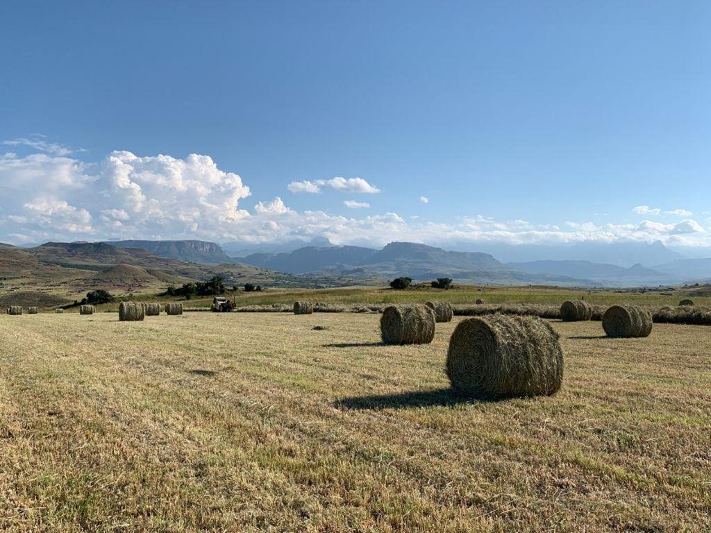 Kezlyn Farm Cottages Bergville Dış mekan fotoğraf