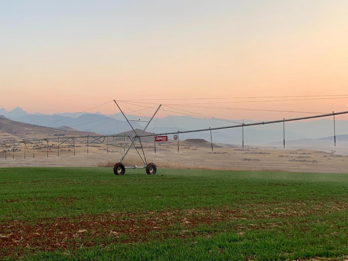 Kezlyn Farm Cottages Bergville Dış mekan fotoğraf
