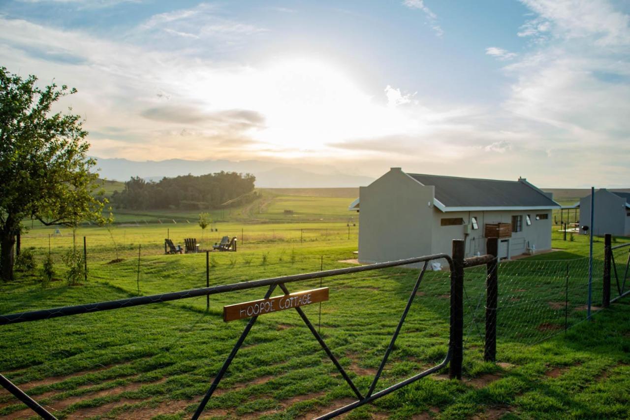 Kezlyn Farm Cottages Bergville Dış mekan fotoğraf